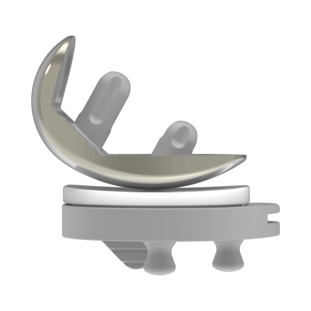 FB Unicompartmental Knee Arthroplasty