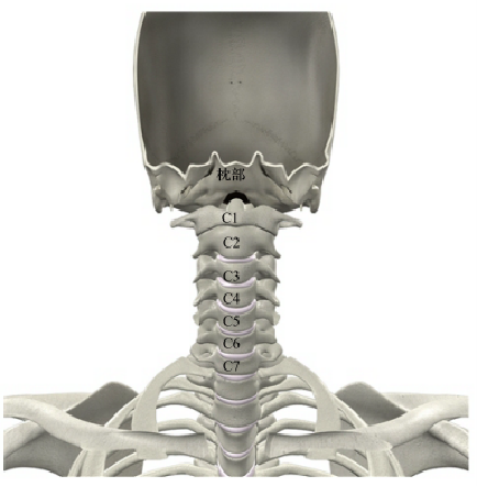 cervical disc replacement surgery