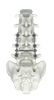 Spine posterior fixation system- CSS 