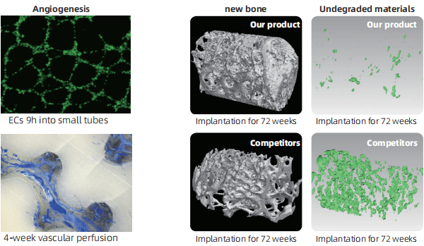 3D Printed Renewable Artificial Bone info