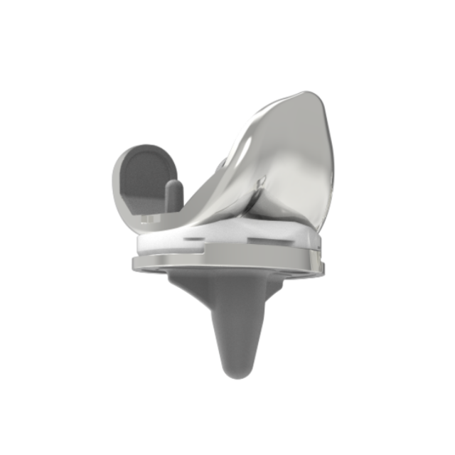 Transnity Cemented Knee Arthroplasty