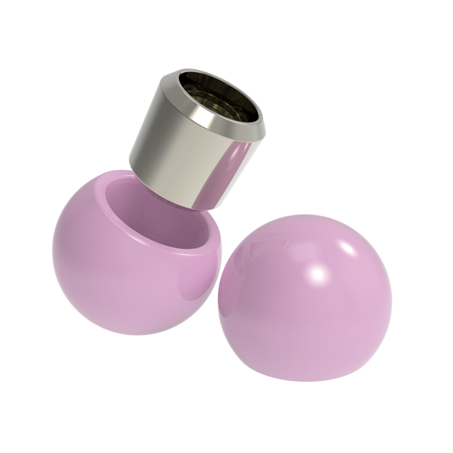 Transdome Femoral Head