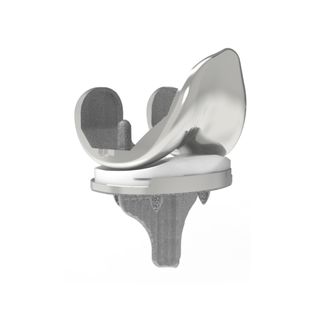 Transnity Cementless Knee Arthroplasty