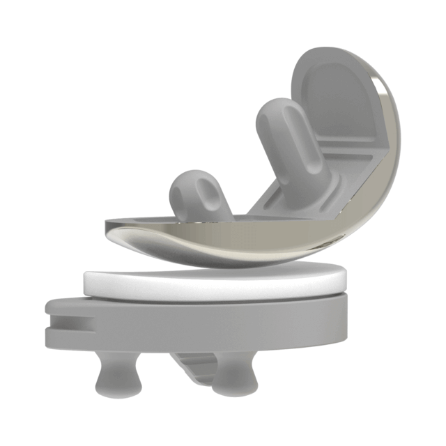 Translide FB-MB Unicompartmental Knee Arthroplasty