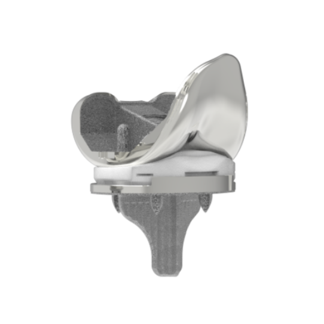 Transnity Cementless Knee Arthroplasty